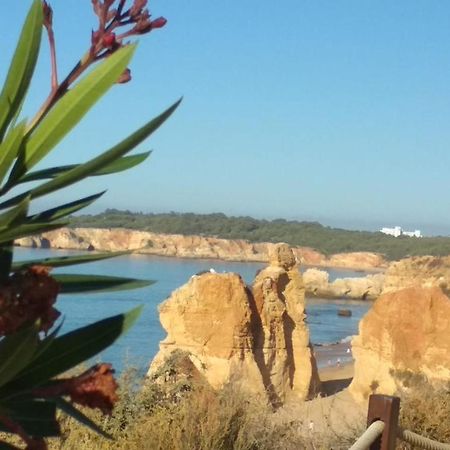 Albur Village B - Gerbera Alvor Εξωτερικό φωτογραφία