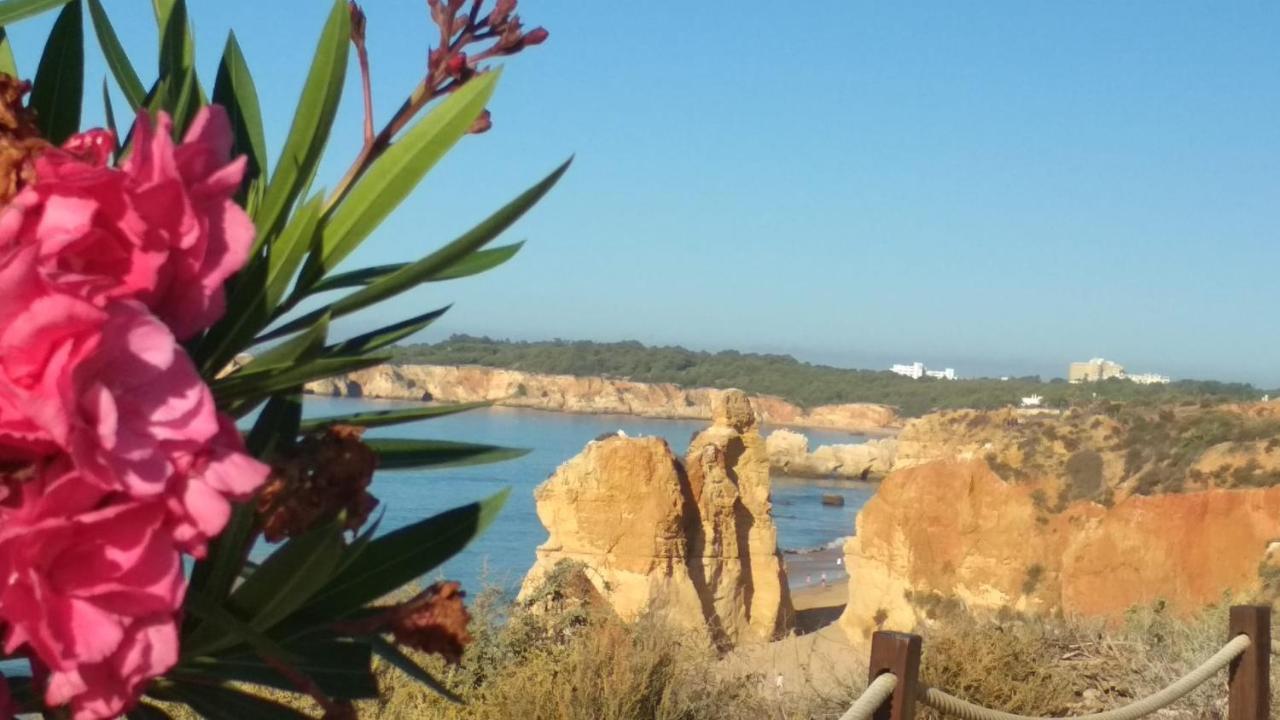 Albur Village B - Gerbera Alvor Εξωτερικό φωτογραφία
